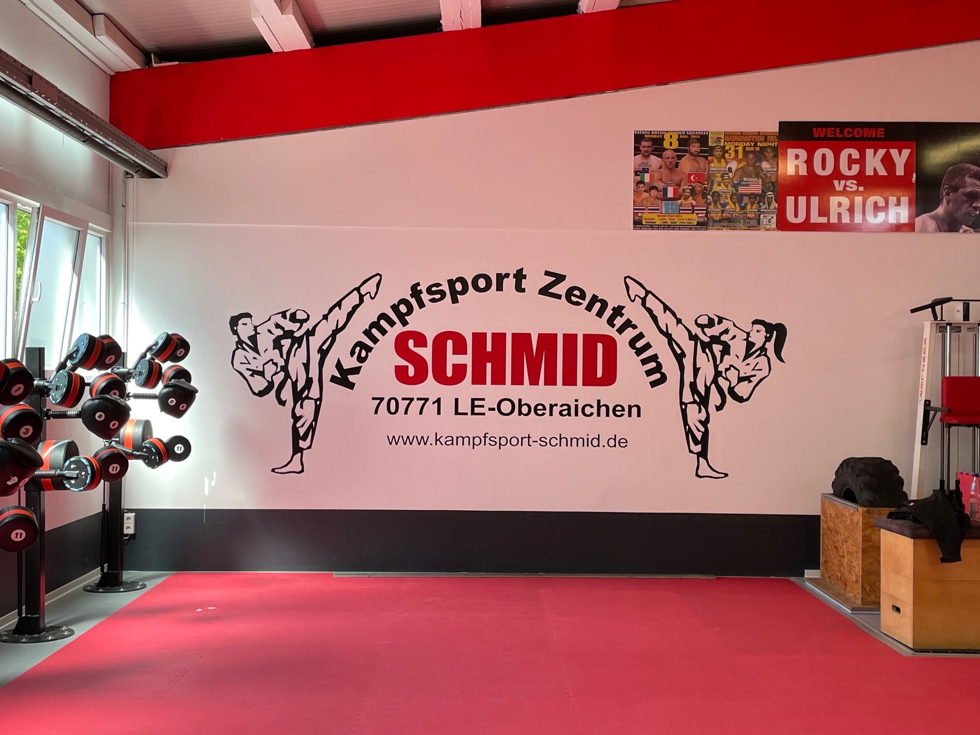 Wandtatoo-Wand-bekleben-mit-Folie-Fildercopy-Aufkleber-xxl-Echterdingen